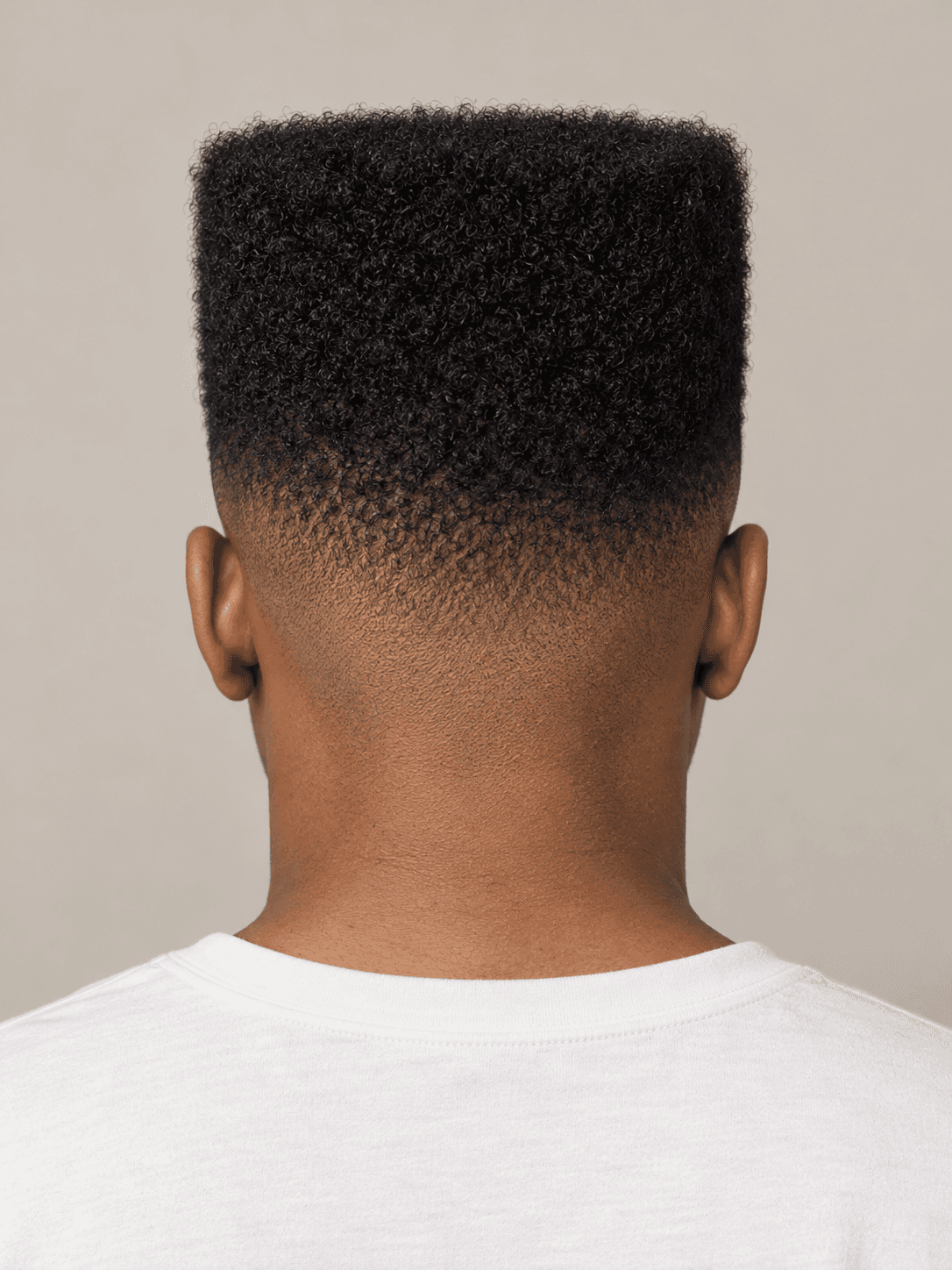 High-Top Fade on a man with coily black hair, back view