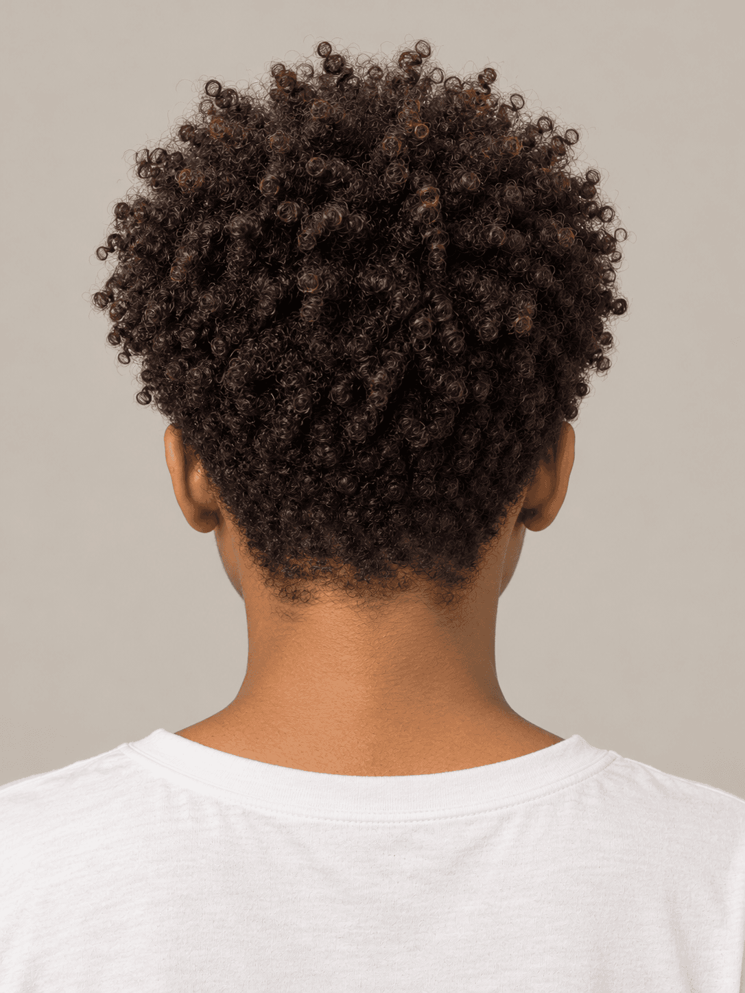 Tapered curly fro on a woman with warm brown skin and dark brown curls, back view